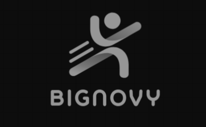 BigNovy